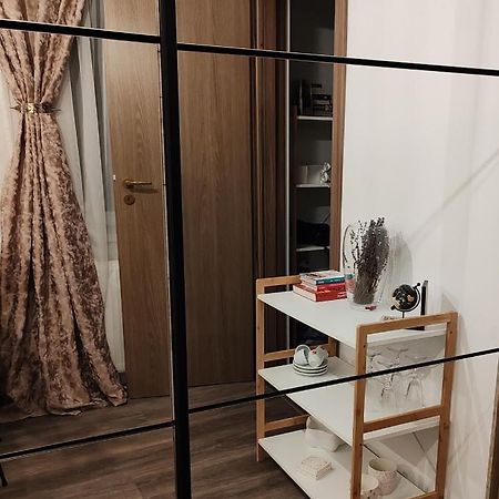 Studio Grigio Apartment Сибиу Екстериор снимка