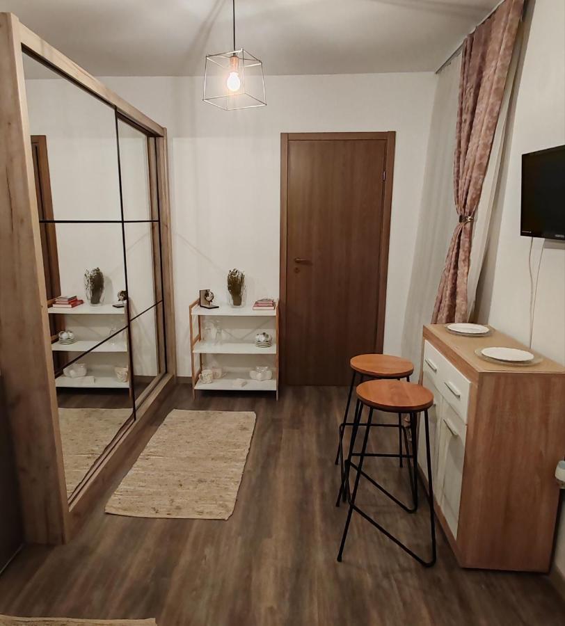 Studio Grigio Apartment Сибиу Екстериор снимка