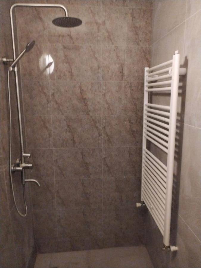 Studio Grigio Apartment Сибиу Екстериор снимка