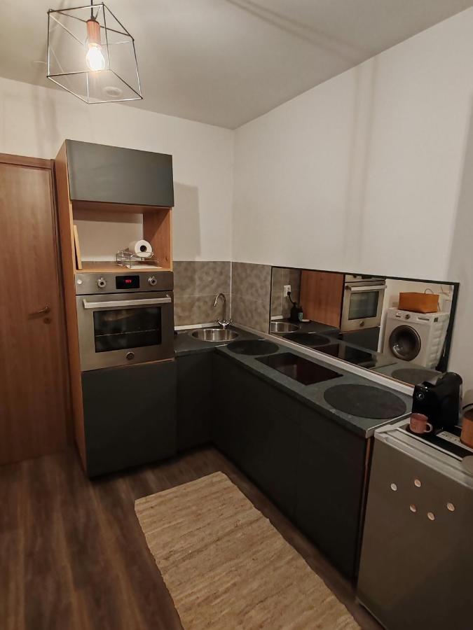 Studio Grigio Apartment Сибиу Екстериор снимка